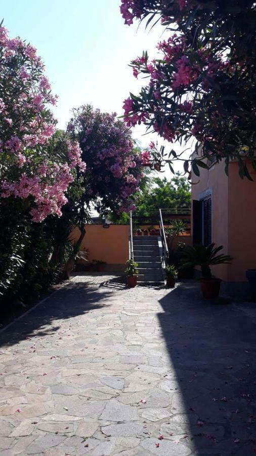 B&B Giorgia Airport Φιουμιτσίνο Εξωτερικό φωτογραφία